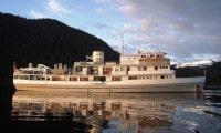 Mist Cove